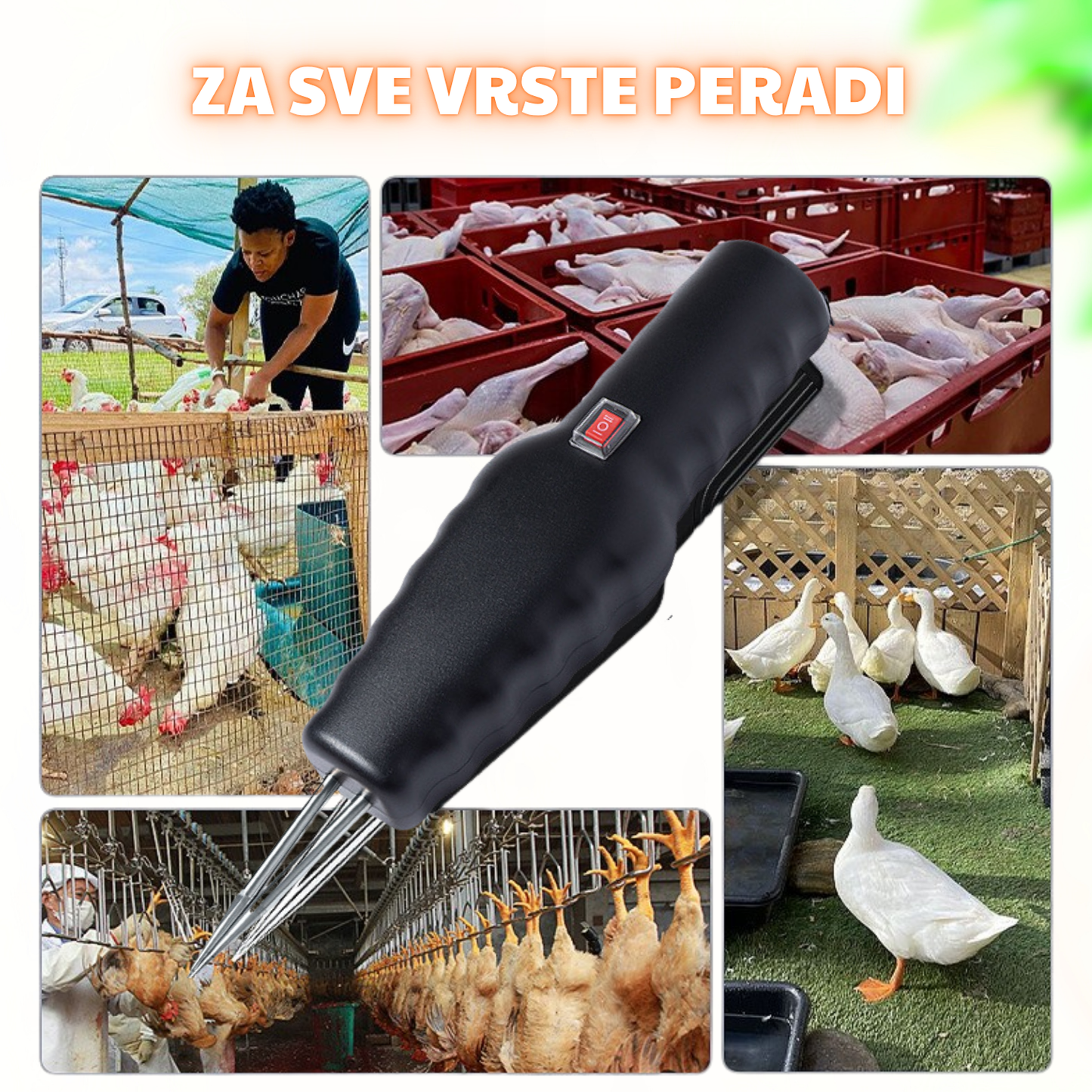 Prijenosni električni čupač perja za perad